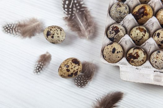Easter quail eggs in container on white bright background. Space for text