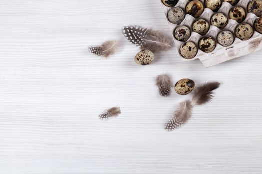 Easter quail eggs in container on white bright background. Space for text