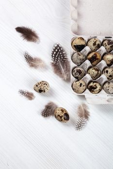 Easter quail eggs in container on white bright background. Space for text