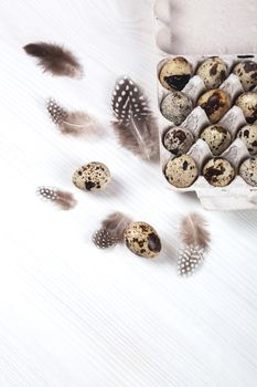 Easter quail eggs in container on white bright background. Space for text