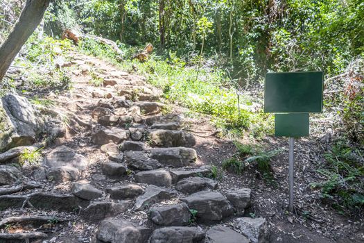 Stony Newlands Ravine hiking trail in the Tablemoutain National Park, Cape Town, South Africa. Empty sign green.