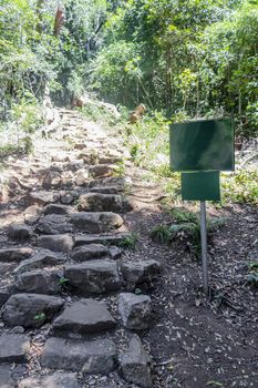 Stony Newlands Ravine hiking trail in the Tablemoutain National Park, Cape Town, South Africa.