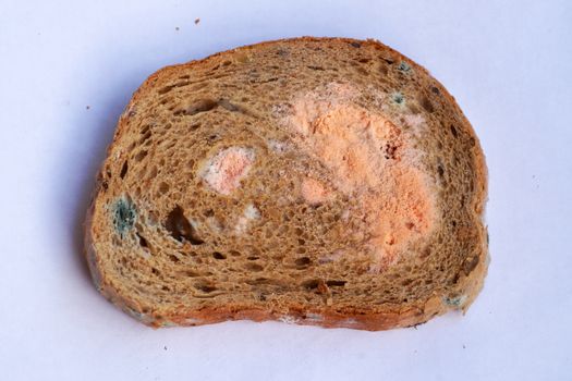 a piece of moldy bread on a white background