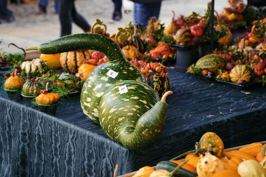 Different pumpkins at an authentic street market in Germany, autumn