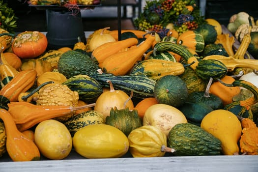 Different pumpkins at an authentic street market in Germany, autumn