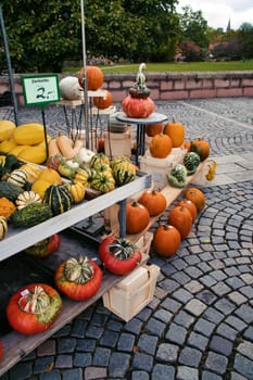 Different pumpkins at an authentic street market in Germany, autumn