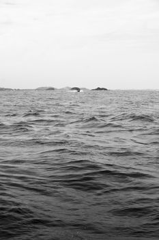 speed boat driving on ocean black and white tone