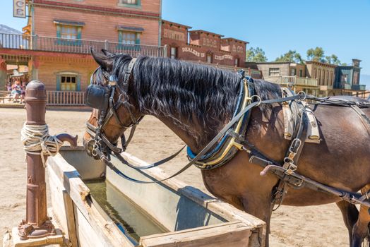 Working horse with blinders