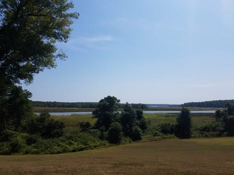 grass with river or stream water and trees outdoor and blue sky