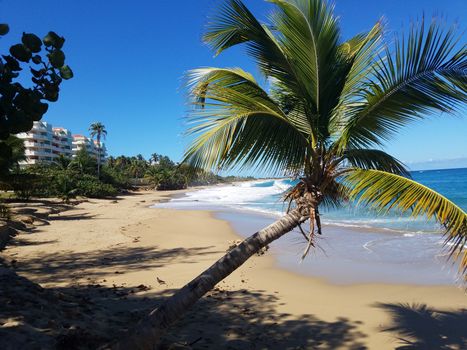 sand and ocean or sea water on beach in Isabela, Puerto Rico