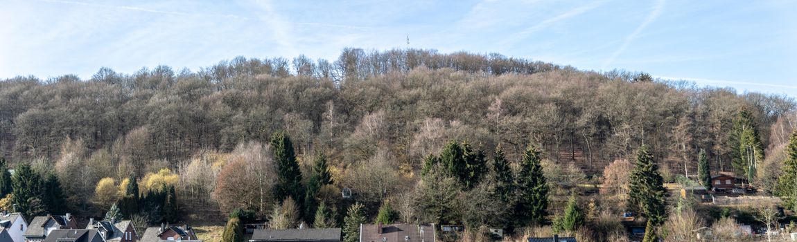 hilly forested landscape under a blue sky