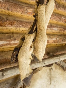 Visit to the Stone Age village near Umhausen in the Otztal, Tyrol