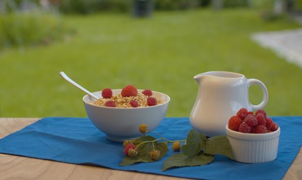 Close up bowl of muesli with raspberry and jug of milk on the table in the garden. Breakfast on blurry natural background. Healthy lifestyle concept.