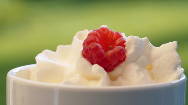 Extreme close up cup with whipping cream and raspberry in a garden outdoors. Macro ready-made aerosol whipping cream. Fresh tasty food concept. Slow panorama