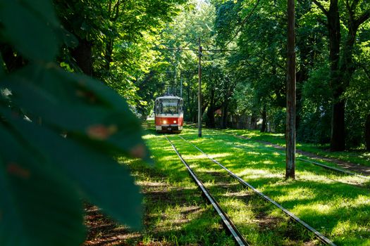 red lonely city tram rideing on the rails on a bright sunny summer day