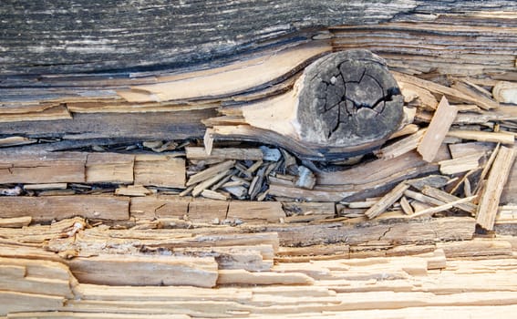 old gray cracked weathered board outdoor closeup