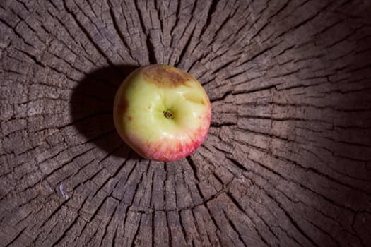 Ripe apple lying on the wooden frame. High quality photo