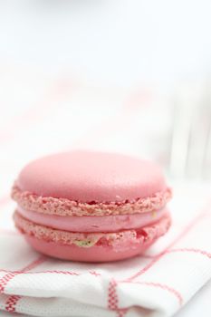 Pink Macaron in close up isolated on white background