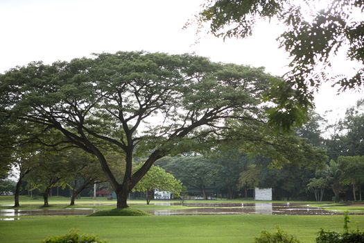 golf course on flooded in Chiangmai , Thailand , September 28 , 2011