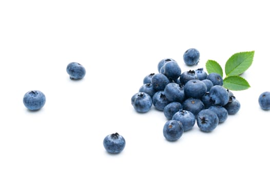  Blueberry fruit on a white background