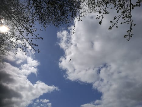 view to the blue sky with some clouds and trees at the side