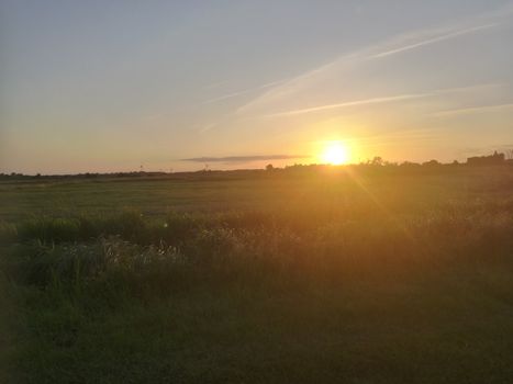 Green meadow in front of a sunset and a blue sky