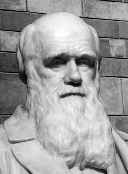Charles Darwin memorial statue placed in the central hall of the Natural History Museum in 1885, London England UK noted for his work on evolution and his book The Origin Of Species black and white monochrome image stock photo