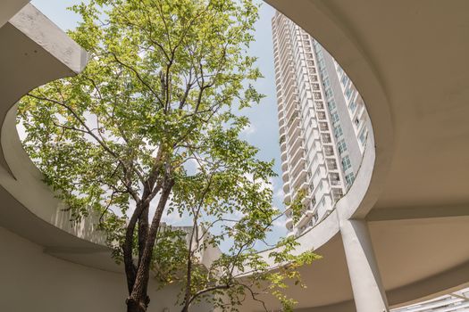 Bangkok, Thailand - Jul 23, 2020 : A big tree in the middle of building in summer time. Building design for green living concept. Environmental friendly building design. Ecology concept. Selective focus.