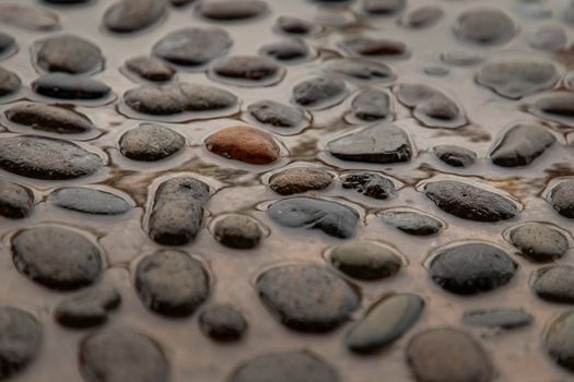 Close up of a stone cobblestone pavement wet after rain. Walkway made of natural stone. Selective focus.