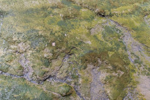 Deep wet mud on Chao Phraya River at low tide. Nature background