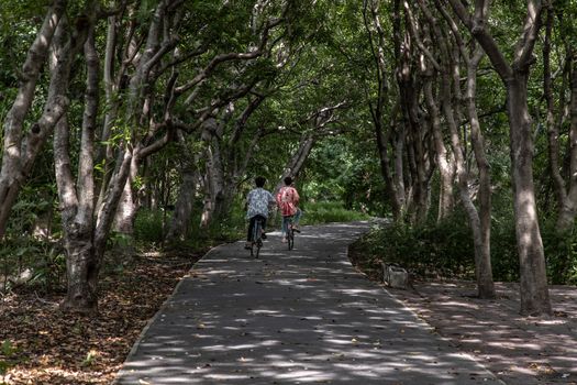 Two young men enjoying a bike ride on a sunny day in a city park. Healthcare Concept. Relaxing in Park.
