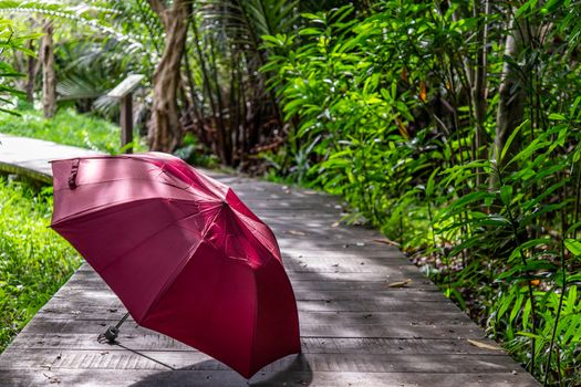 The red umbrella Placed in a wooden walkway in a sunny day.