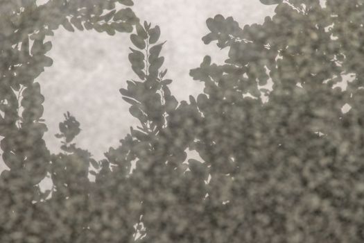 shadow of trees on marble table in the garden. Minimal nature.