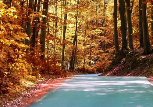 Beautiful panorama view on a golden autumn landscape in the middle of october