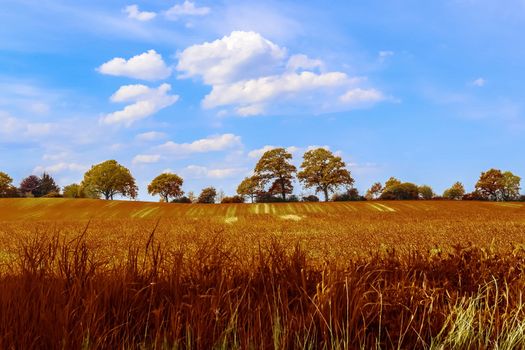 Beautiful panorama view on a golden autumn landscape in the middle of october