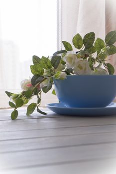 White roses in blue bowl on blurred background, vertical image