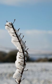 a close up of snow and ice frozen on to a twig against a blurred background of winter fields with a blue sunlit sky