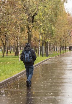 A man in warm clothes with a backpack, walking along a wet alley in the Park, in the autumn in cloudy weather, view from the back.