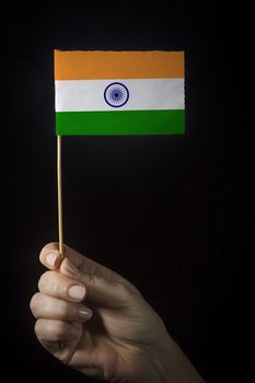 Hand with small flag of state of India