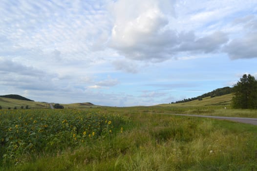 summer landscape with road, mountain and blue sky with clouds