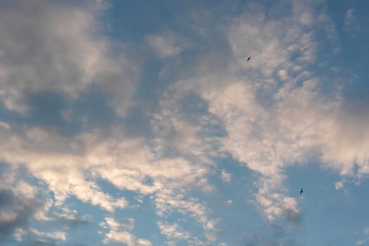 Beautiful eveing sky with clouds, air nature