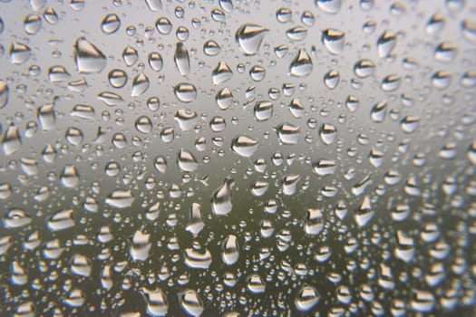 Drops of rain on the window, shallow dof