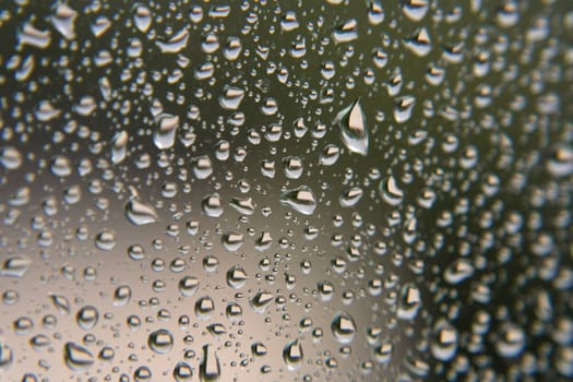 Drops of rain on the window, shallow dof