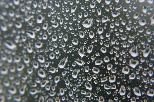 Drops of rain on the window, shallow dof