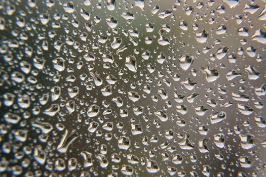 Drops of rain on the window, shallow dof