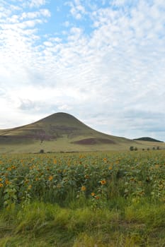 summer landscape with mountain and blue sky with clouds