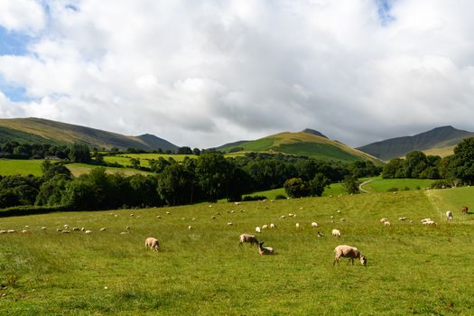 Brecon Beacons National Park Landscape