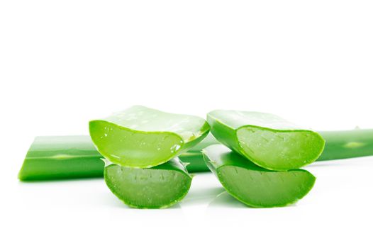 Aloe vera herbal on a white background