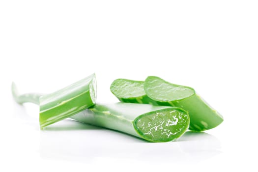 Aloe vera herbal on a white background