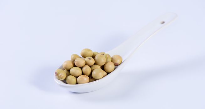 Yellow-green Taiwanese organic non-GMO soybeans, soy beans in a container isolated on white backgorund, close up, clipping path.